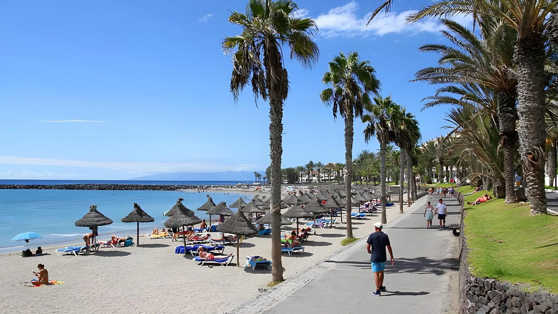 Apartment At 30 Mts From Sea Playa de las Americas  Spain