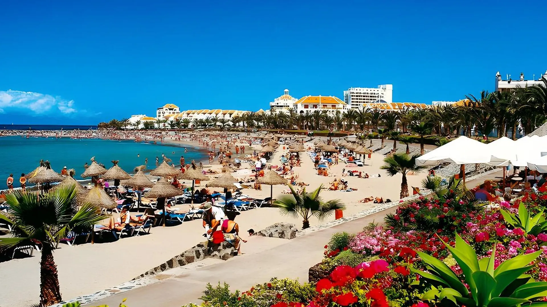 Apartment At 30 Mts From Sea contacts