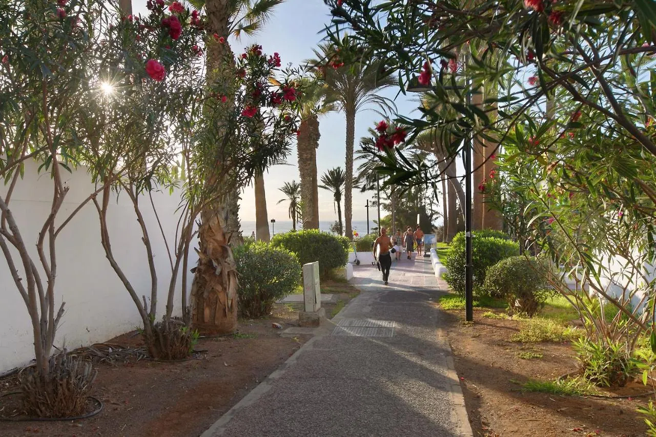 Apartment At 30 Mts From Sea Playa de las Americas