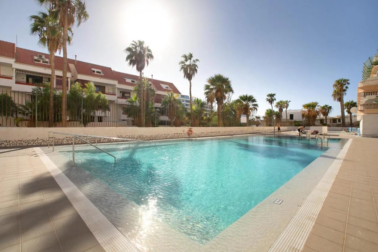 Apartment At 30 Mts From Sea Playa de las Americas  Playa de las Americas (Tenerife)